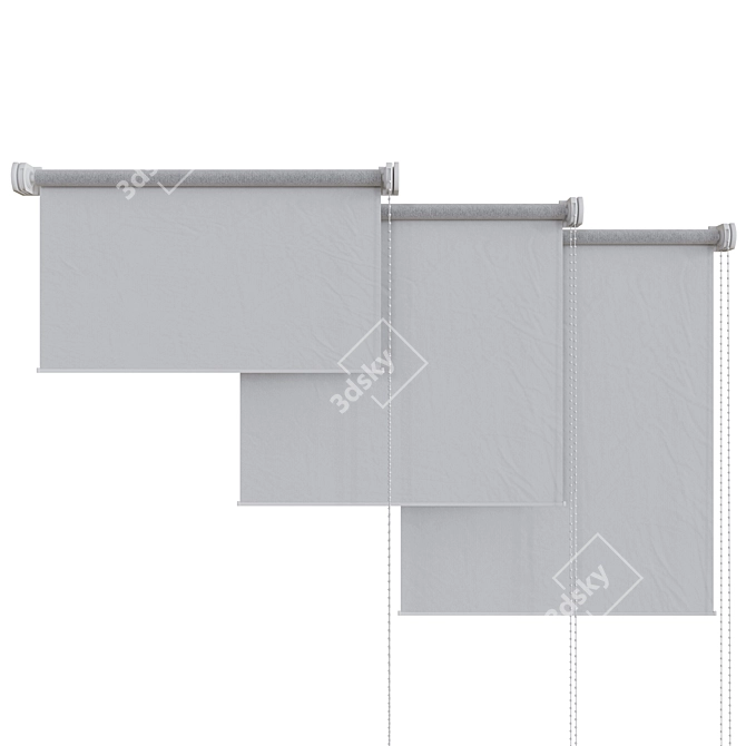 Adjustable Roller Blinds: Transparent and Blackout Options 3D model image 2