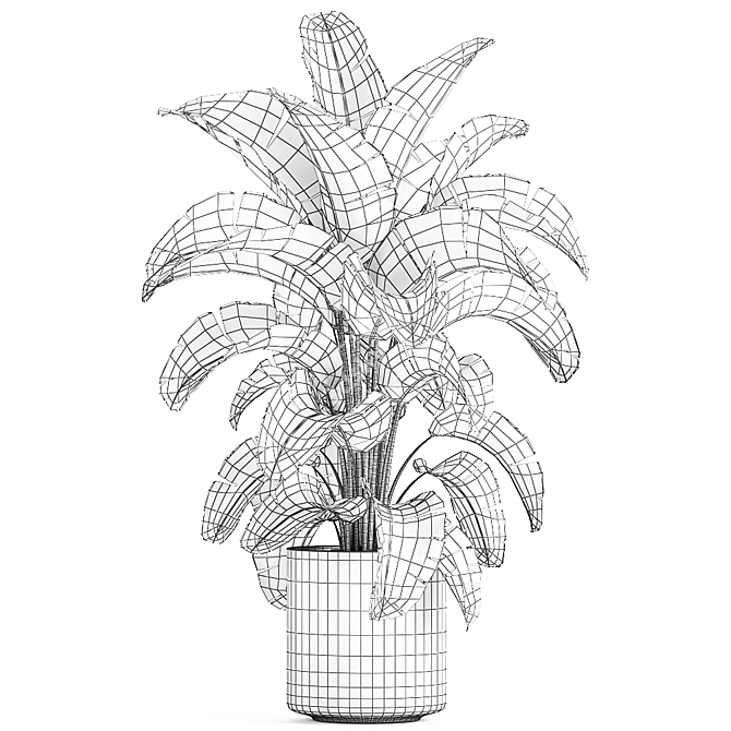 Tropical Plant Collection: Banana Palm, Ravenala, Strelitzia 3D model image 5