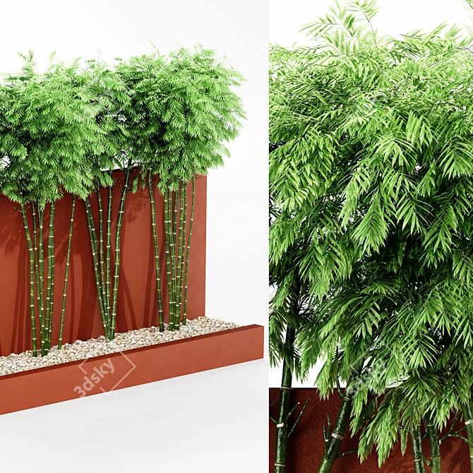 Bamboo Wall & Outdoor Plants: 4.5m Height & 5 Tree Models 3D model image 3