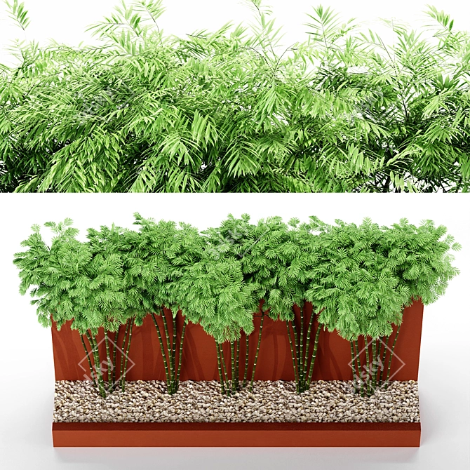 Bamboo Wall & Outdoor Plants: 4.5m Height & 5 Tree Models 3D model image 4