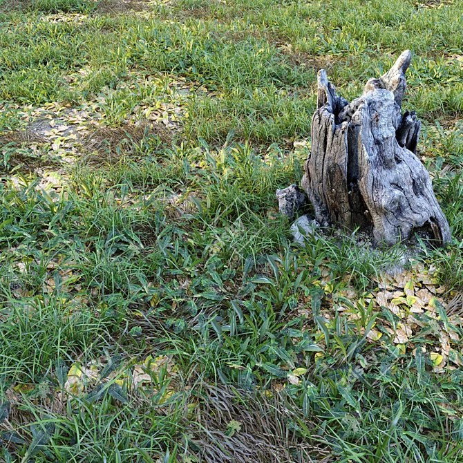 Natural Meadow with Plants & Stump 3D model image 1