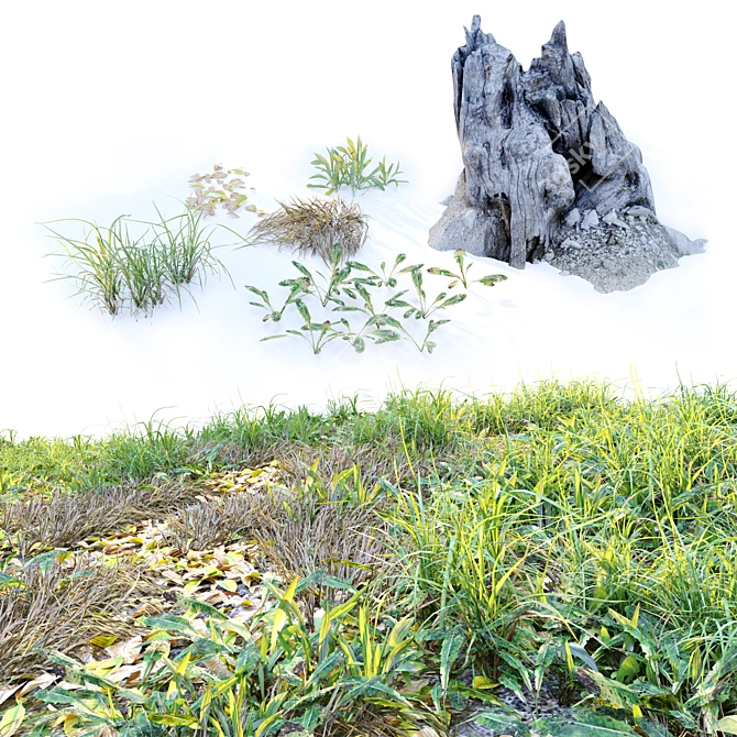 Natural Meadow with Plants & Stump 3D model image 3