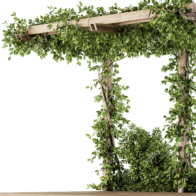 Elegant Ivy Pergola Décor 3D model image 4