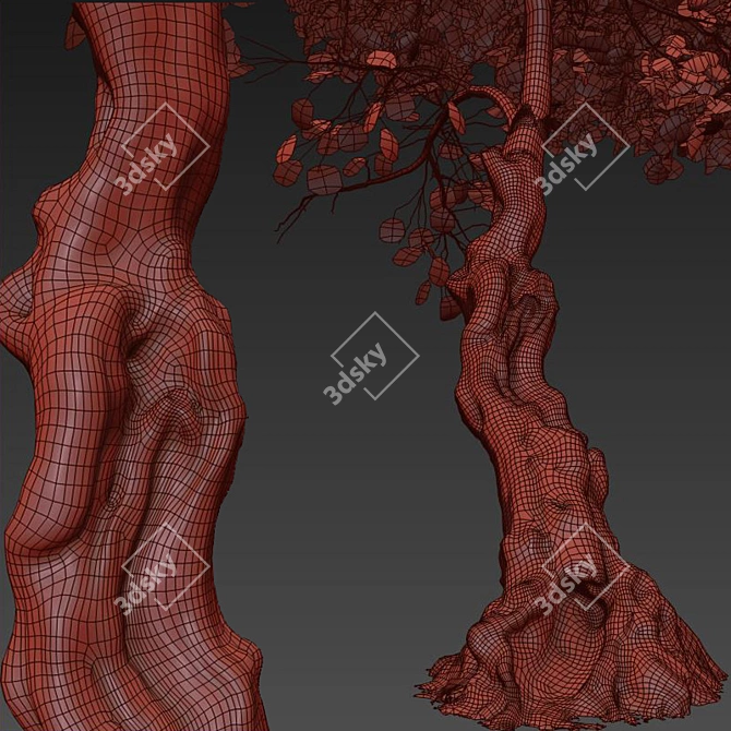 Fiddlewood: Majestic Citharexylum Tree 3D model image 5