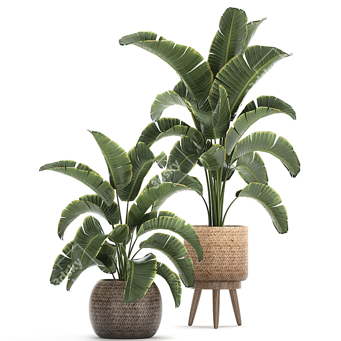 Tropical Paradise Plant Collection 3D model image 1