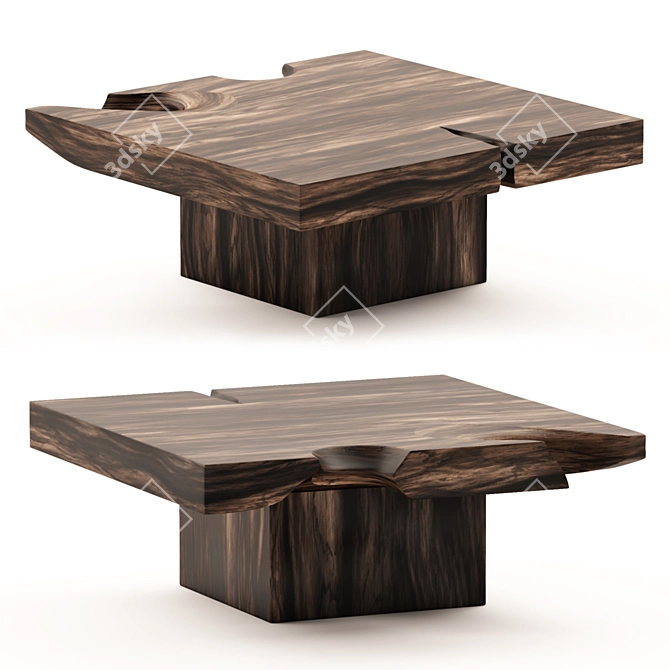 Natural Beauty: Suar Wood Coffee Table 3D model image 1