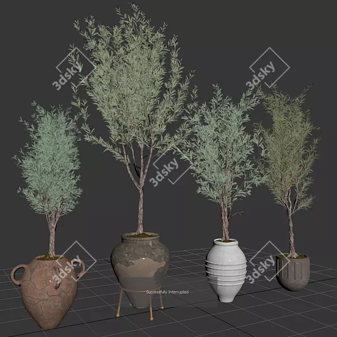 Elegant Indoor Olive Plant Set 3D model image 4