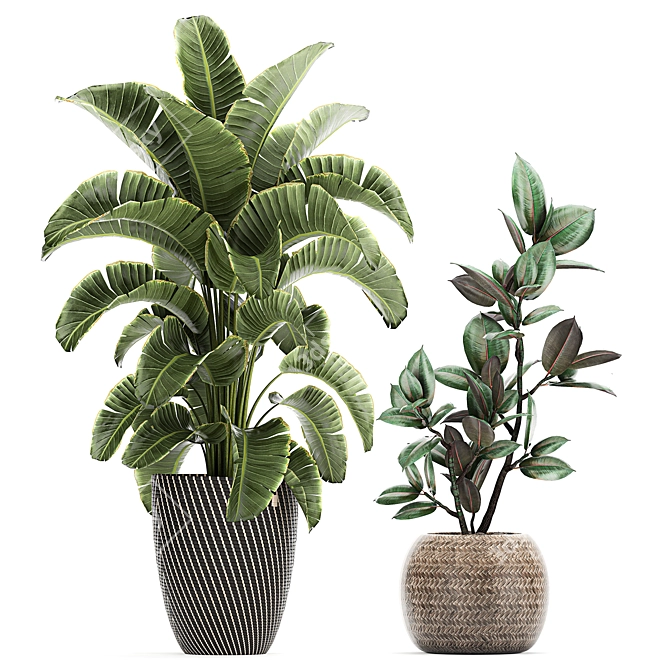 Tropical Plant Collection in Rattan Baskets 3D model image 2