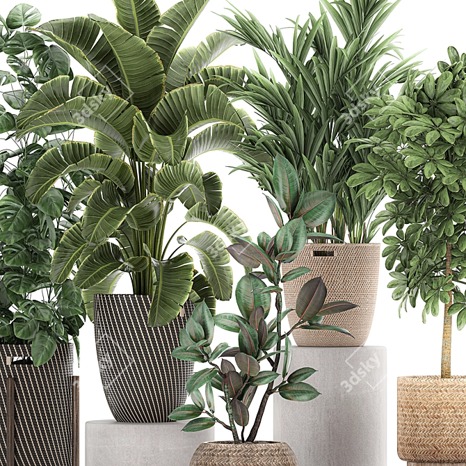 Tropical Plant Collection in Rattan Baskets 3D model image 4