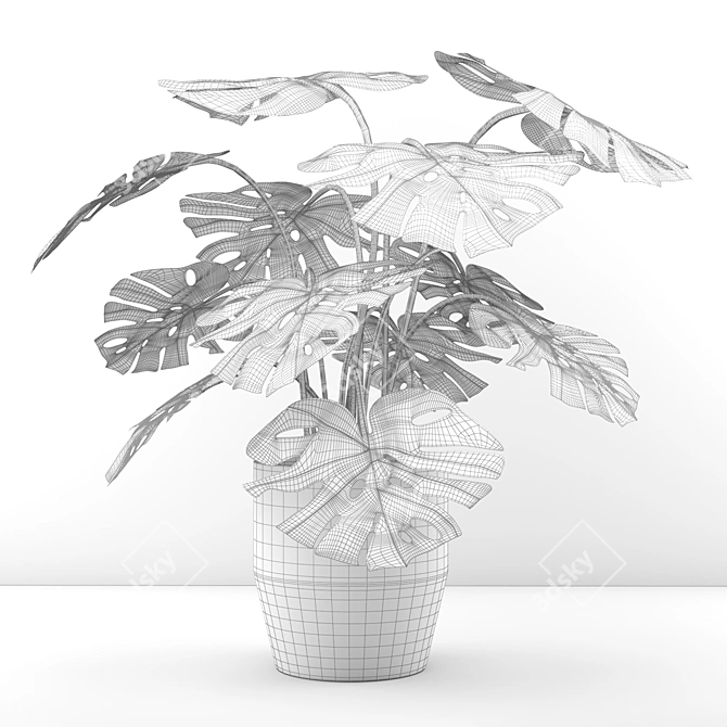 Lush Monstera: Indoor & Outdoor 3D model image 3