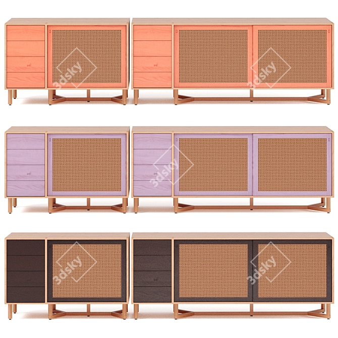 Adjustable Color Rattan Sideboard with Drawers 3D model image 3