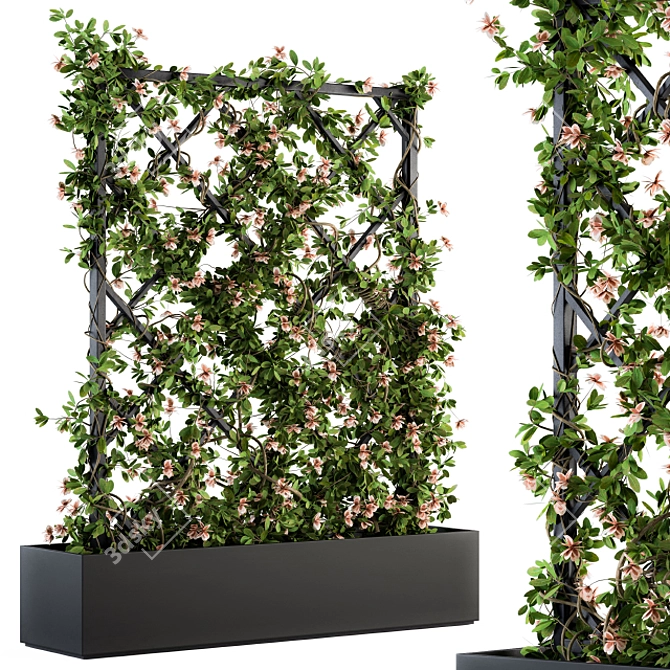 Outdoor Ivy on Grid - 118 3D model image 1