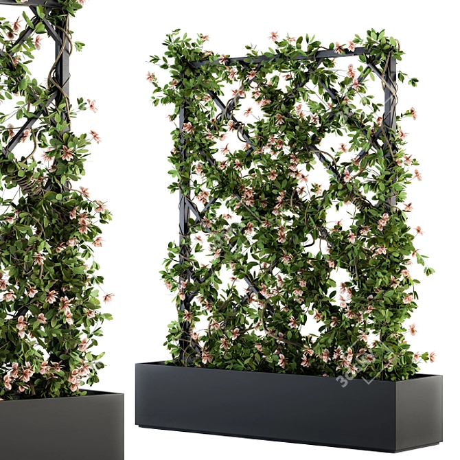 Outdoor Ivy on Grid - 118 3D model image 2