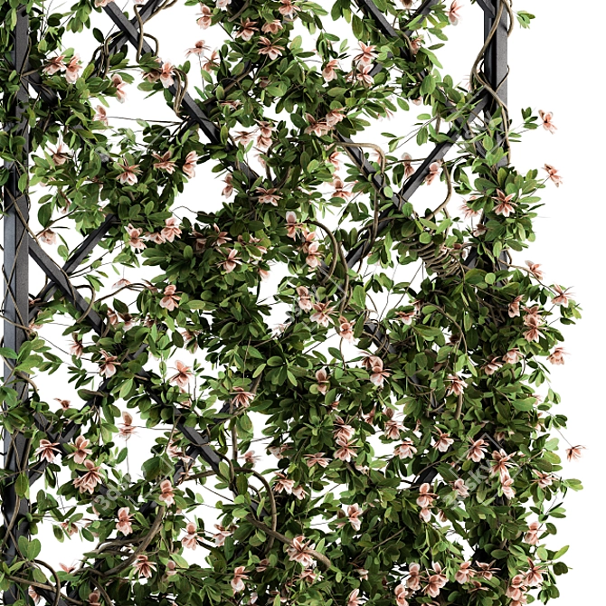 Outdoor Ivy on Grid - 118 3D model image 4