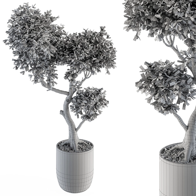 Mini Bonsai Set: Indoor Greenery 3D model image 1