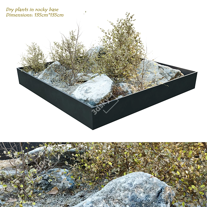 Rocky Base Dry Plants Sculpture 3D model image 1