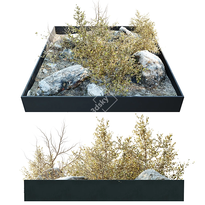 Rocky Base Dry Plants Sculpture 3D model image 2