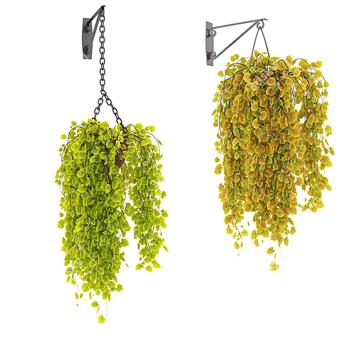 Botanic Bliss - Hanging Garden Collection 3D model image 2