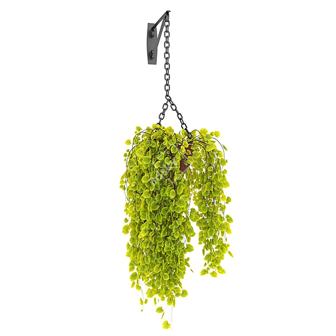 Botanic Bliss - Hanging Garden Collection 3D model image 4