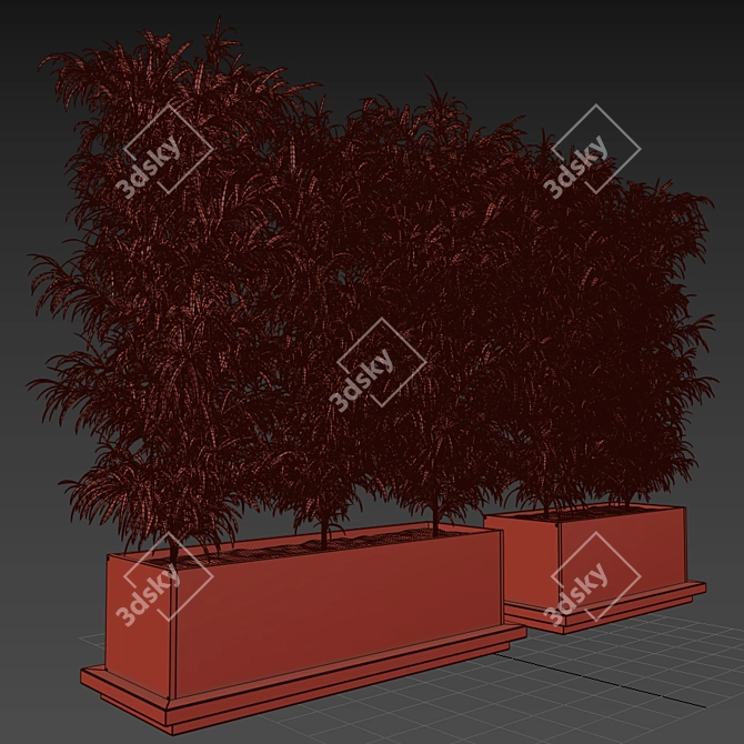 Tropical Palm Plant in Box 3D model image 3