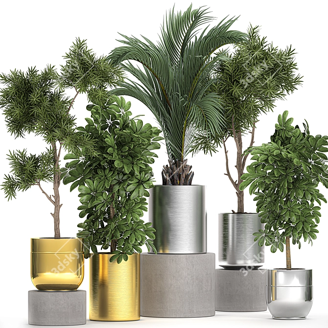 Tropical Plant Collection: Exotic & Decorative 3D model image 1