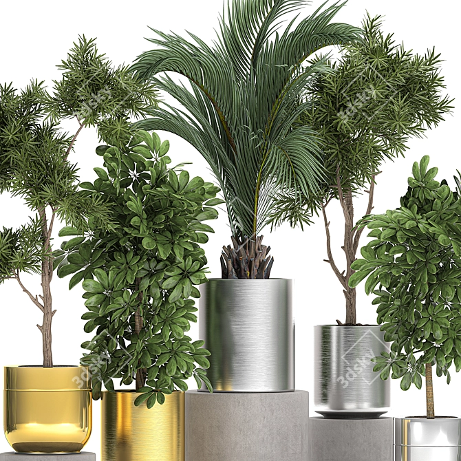 Tropical Plant Collection: Exotic & Decorative 3D model image 4