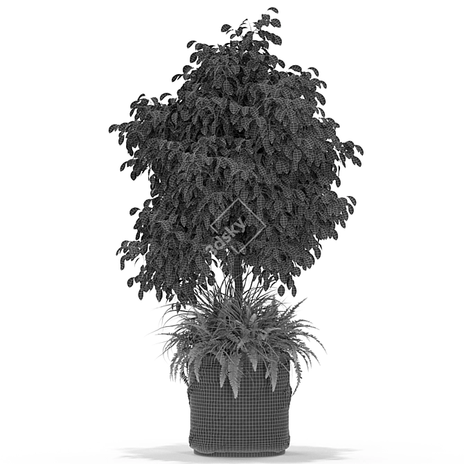 Exquisite Flora Collection 3D model image 3