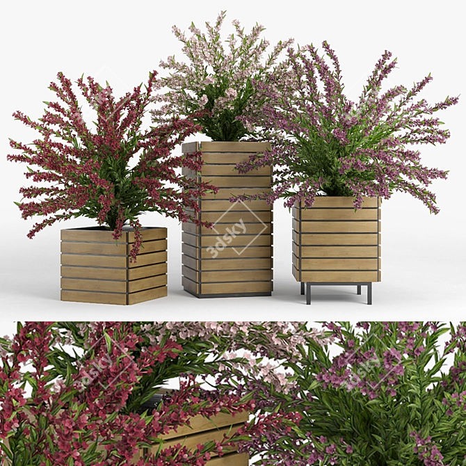 Vibrant Weigela Shrub 3D Model 3D model image 1