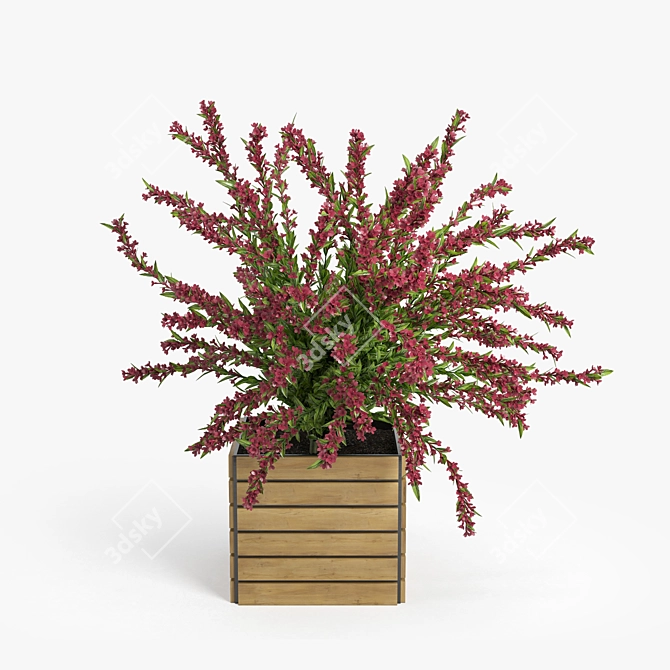 Vibrant Weigela Shrub 3D Model 3D model image 4