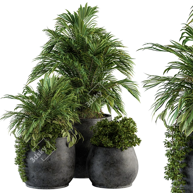 Lush Greenery Set: Black Pot 3D model image 1