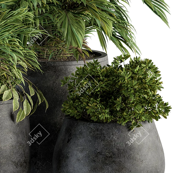 Lush Greenery Set: Black Pot 3D model image 2