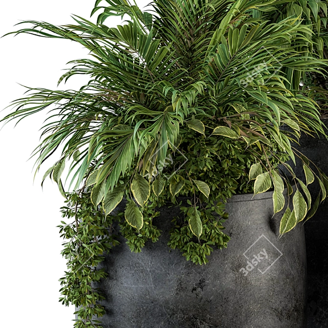 Lush Greenery Set: Black Pot 3D model image 3