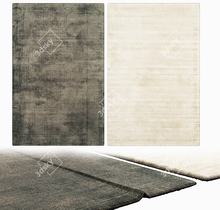 Luxury Interiors: Exquisite Carpets 3D model image 2