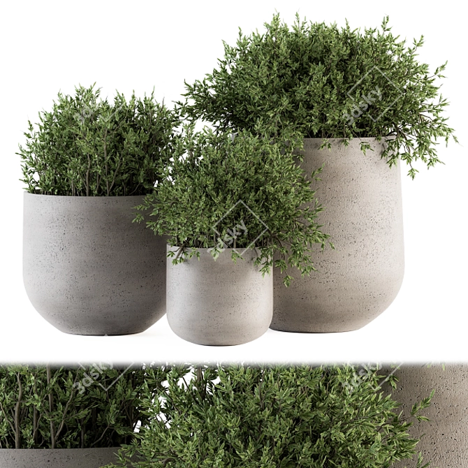 Concrete Pot Outdoor Tree Set 3D model image 1