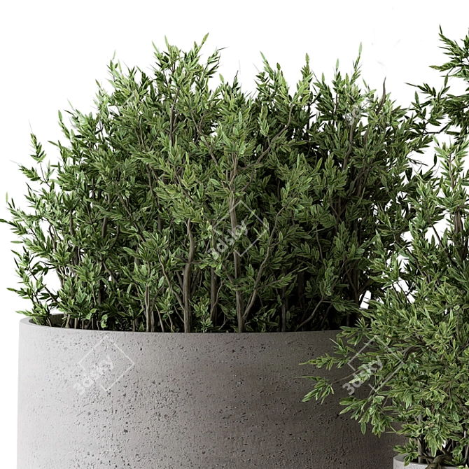 Concrete Pot Outdoor Tree Set 3D model image 3