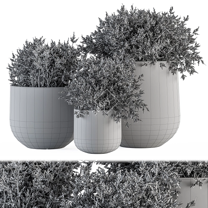 Concrete Pot Outdoor Tree Set 3D model image 4