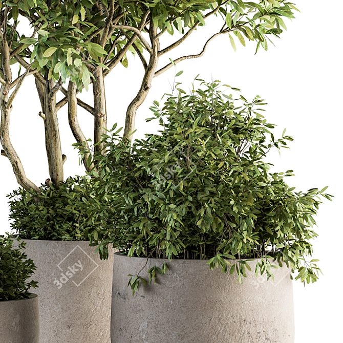 Botanical Bliss: Set 128 Outdoor Plants in Concrete Pots 3D model image 3