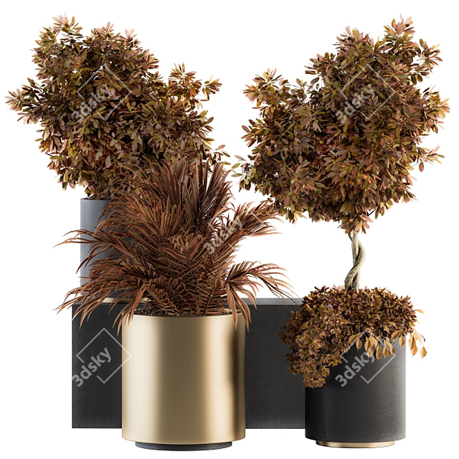 Elegant Black and Gold Indoor Plant set 3D model image 1