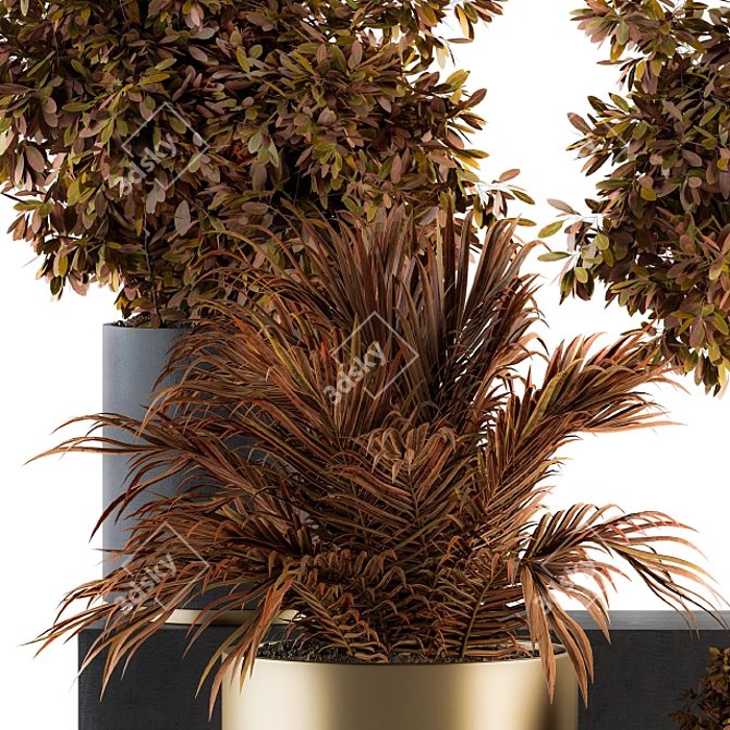 Elegant Black and Gold Indoor Plant set 3D model image 2