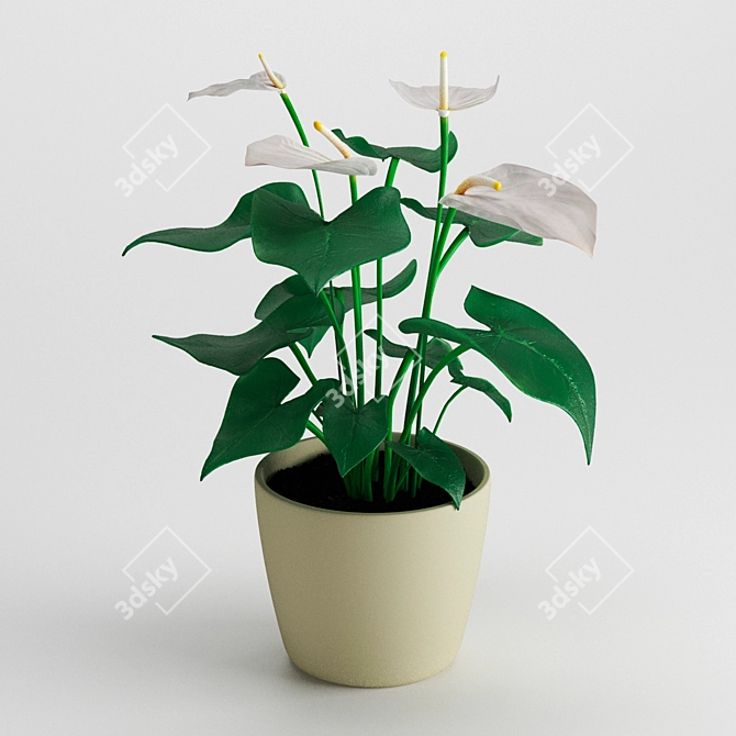 Tropical Beauty: Anthurium Plant 3D model image 1