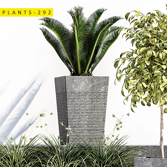Outdoor Stones Collection: Plants 292 3D model image 2