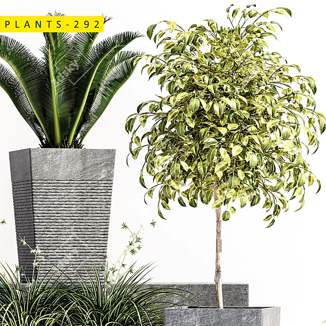 Outdoor Stones Collection: Plants 292 3D model image 3