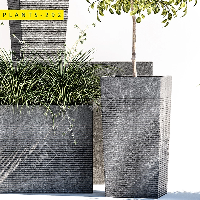 Outdoor Stones Collection: Plants 292 3D model image 4
