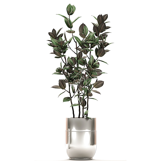 Chroma Plant Collection 3D model image 3