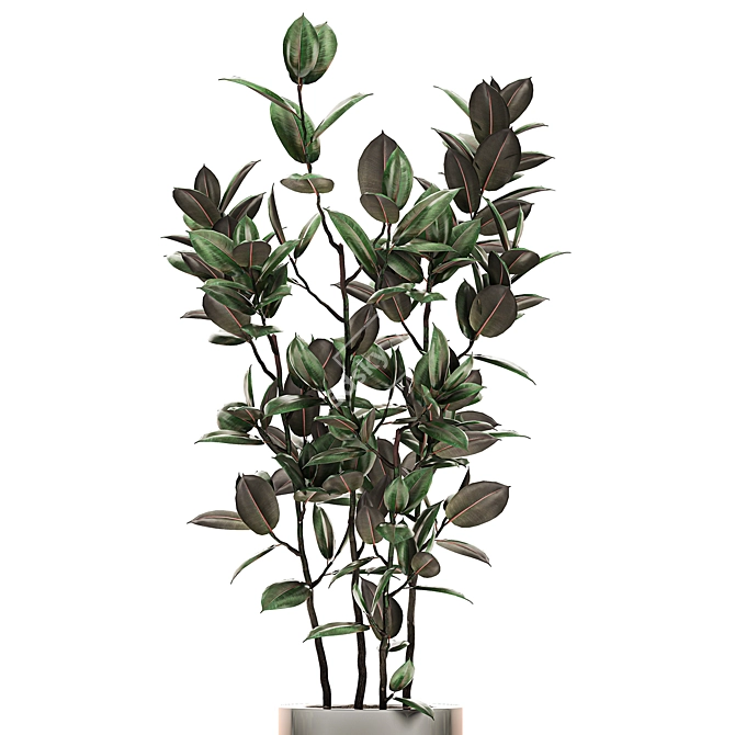 Chroma Plant Collection 3D model image 4