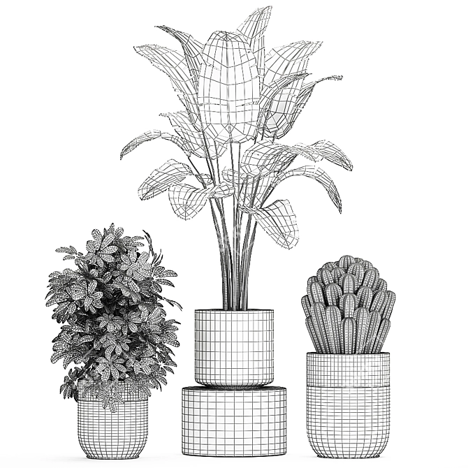 Tropical Chrome Plant Collection 3D model image 5