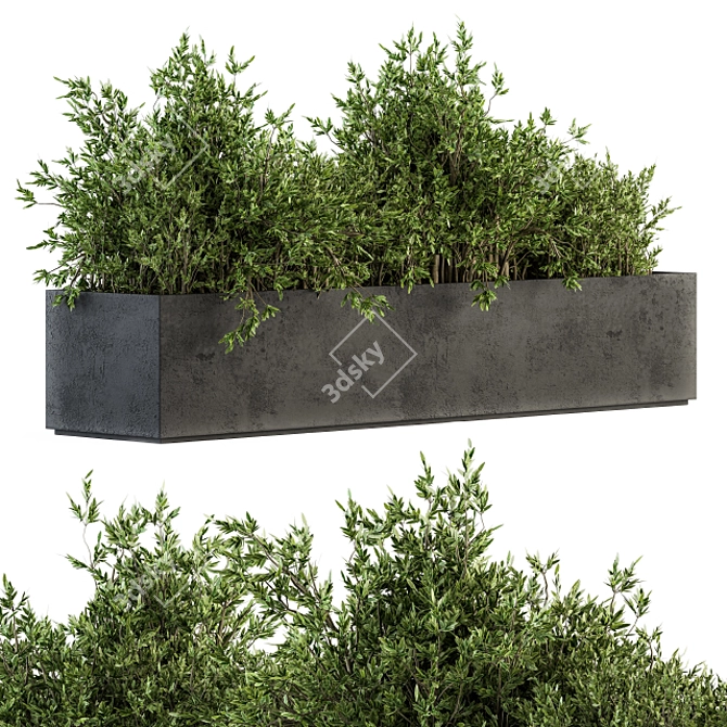 Concrete Box Outdoor Tree Set 3D model image 1