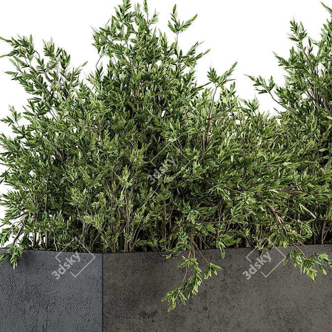 Concrete Box Outdoor Tree Set 3D model image 3