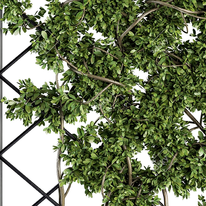 Botanica: Vertical Greenery Metal Frame 3D model image 3