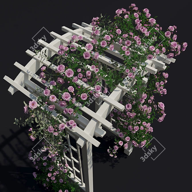 Gorgeous Garden Arch with Climbing Rose 3D model image 5